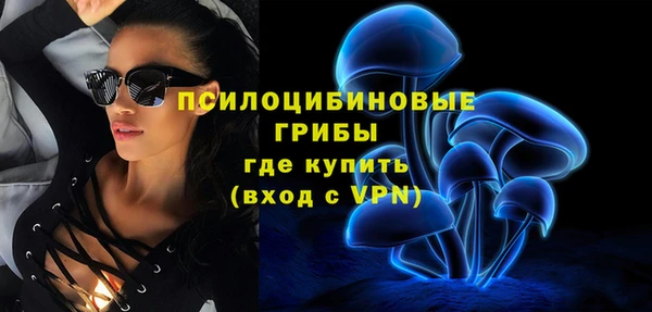 крисы Алзамай