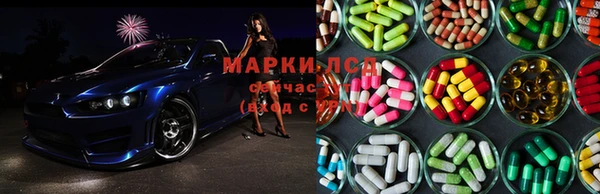 крисы Алзамай