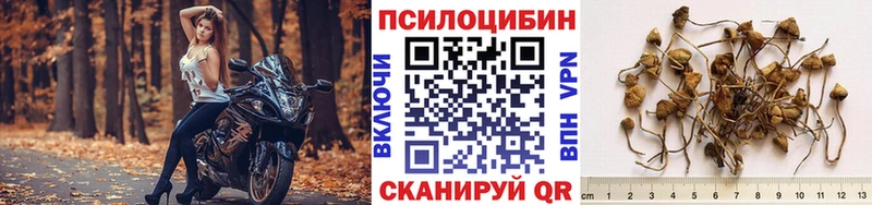 hydra вход  Орлов  Галлюциногенные грибы MAGIC MUSHROOMS 